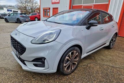 Ford Puma Gebrauchtwagen
