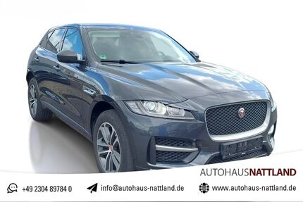 Jaguar F-Pace Gebrauchtwagen