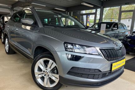 Skoda Karoq Gebrauchtwagen