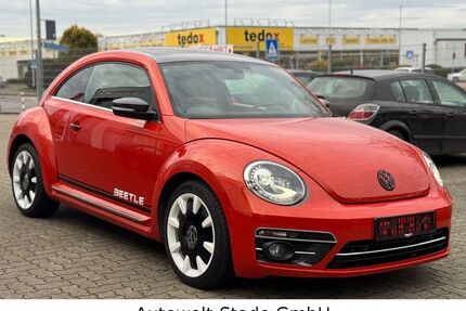 VW Beetle Gebrauchtwagen