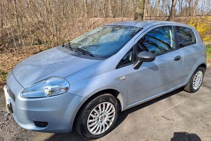 Fiat Punto Gebrauchtwagen