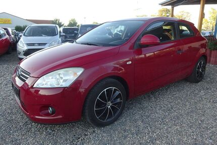 Kia ceed / Ceed Gebrauchtwagen