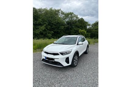 Kia Stonic Gebrauchtwagen