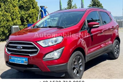 Ford EcoSport Gebrauchtwagen