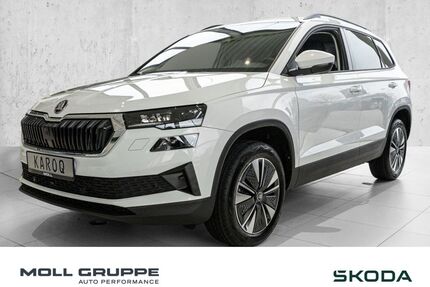 Skoda Karoq Gebrauchtwagen