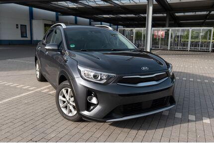 Kia Stonic Gebrauchtwagen