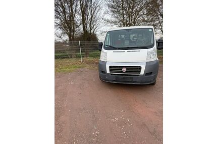 Fiat Ducato Gebrauchtwagen