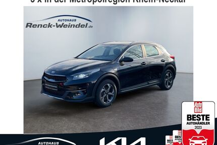 Kia XCeed Gebrauchtwagen