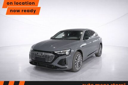 Audi Q8 e-tron Gebrauchtwagen