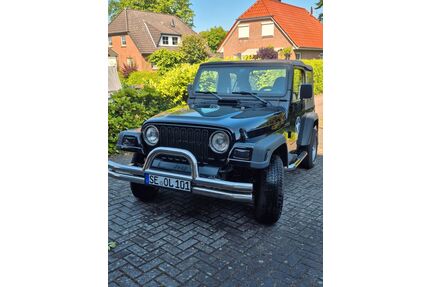 Jeep Wrangler Gebrauchtwagen