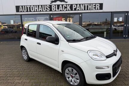 Fiat Panda Gebrauchtwagen