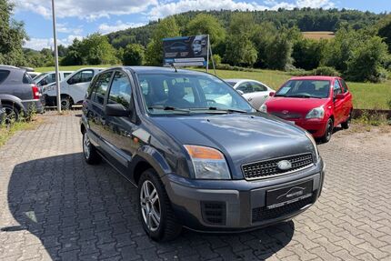 Ford Fusion Gebrauchtwagen