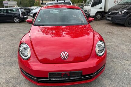 VW Beetle Gebrauchtwagen