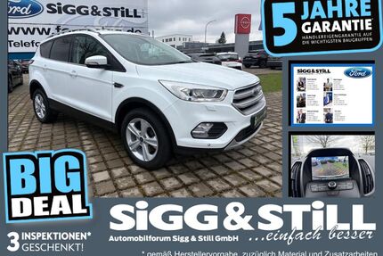 Ford Kuga Gebrauchtwagen