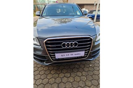 Audi Q5 Gebrauchtwagen