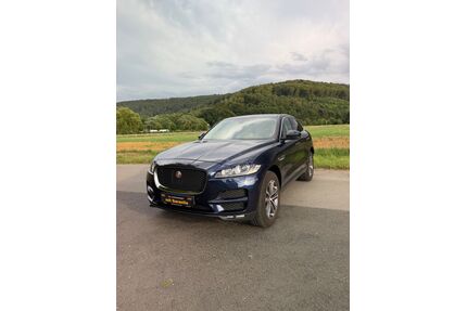 Jaguar F-Pace Gebrauchtwagen