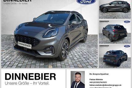 Ford Puma Gebrauchtwagen