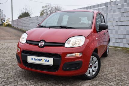 Fiat Panda Gebrauchtwagen