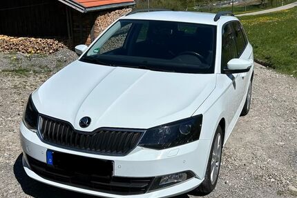 Skoda Fabia Gebrauchtwagen