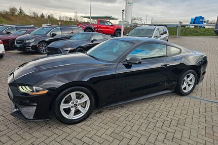 Ford Mustang Gebrauchtwagen