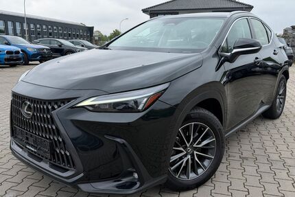 Lexus NX 350h Gebrauchtwagen