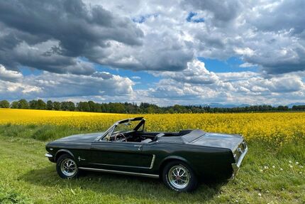 Ford Mustang Gebrauchtwagen