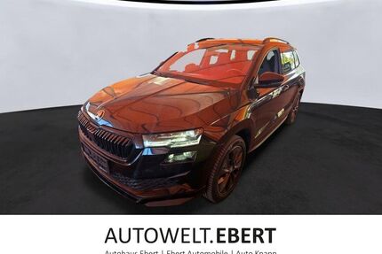 Skoda Karoq Gebrauchtwagen