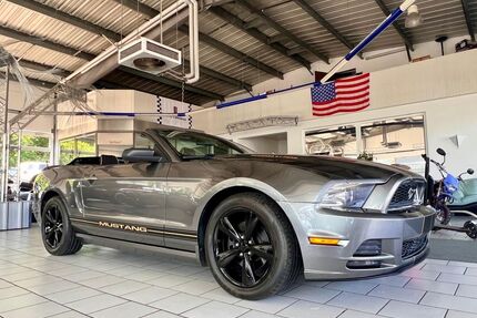 Ford Mustang Gebrauchtwagen