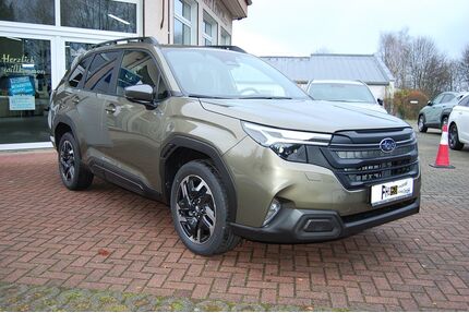 Subaru Forester Gebrauchtwagen