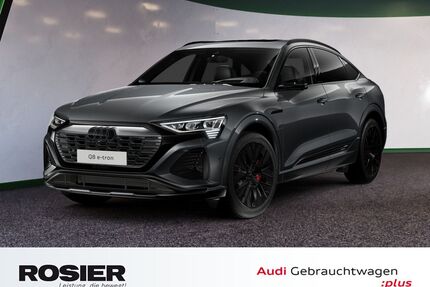 Audi Q8 e-tron Gebrauchtwagen