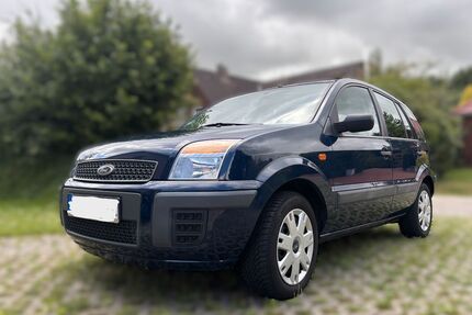 Ford Fusion Gebrauchtwagen