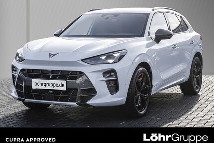 Cupra Terramar Gebrauchtwagen