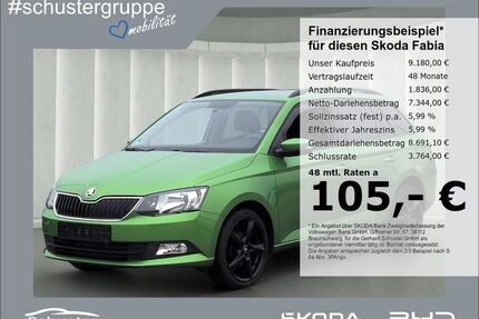 Skoda Fabia Gebrauchtwagen