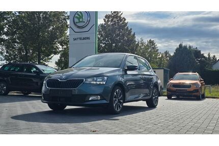 Skoda Fabia Gebrauchtwagen