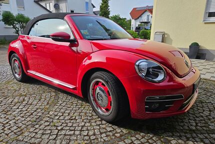 VW Beetle Gebrauchtwagen