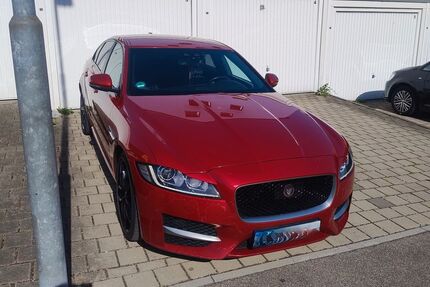 Jaguar XF Gebrauchtwagen
