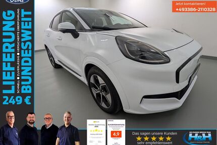 Ford Puma Gebrauchtwagen