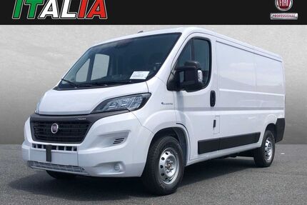 Fiat Ducato Gebrauchtwagen