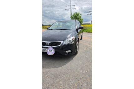 Kia ceed / Ceed Gebrauchtwagen