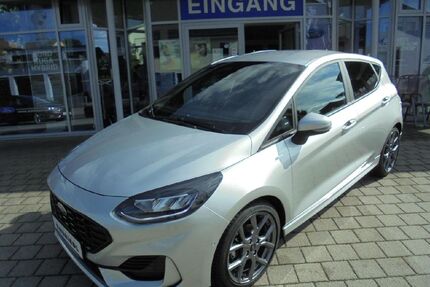 Ford Fiesta Gebrauchtwagen