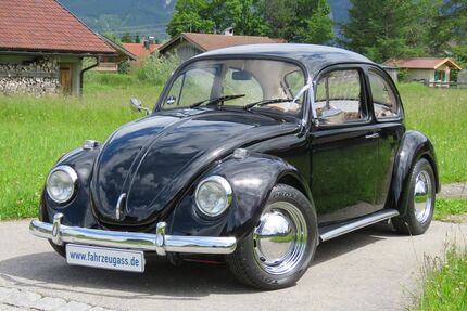 VW Käfer Gebrauchtwagen
