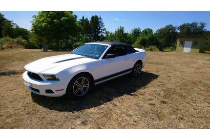 Ford Mustang Gebrauchtwagen