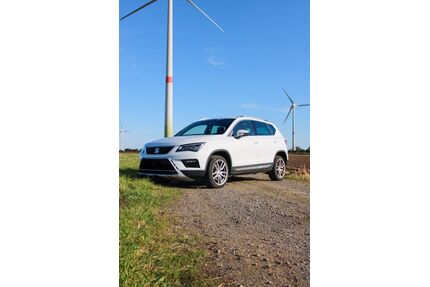 Seat Ateca Gebrauchtwagen