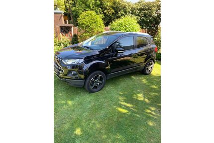 Ford EcoSport Gebrauchtwagen