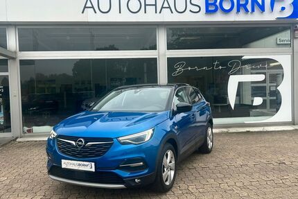 Opel Grandland (X) Gebrauchtwagen