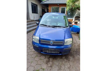 Fiat Panda Gebrauchtwagen