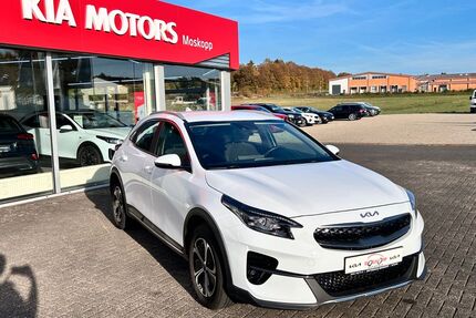 Kia XCeed Gebrauchtwagen