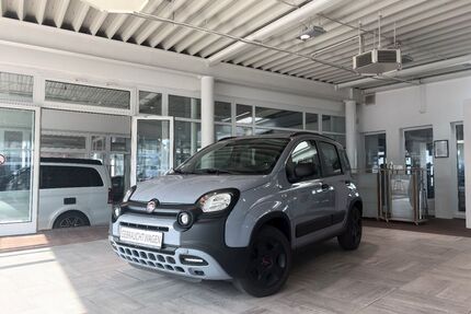 Fiat Panda Gebrauchtwagen