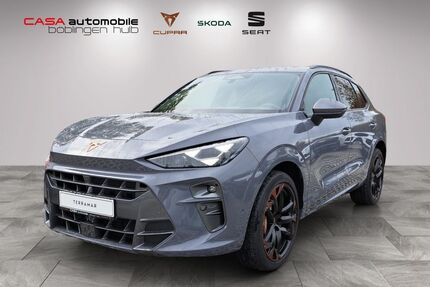 Cupra Terramar Gebrauchtwagen