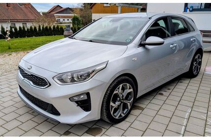 Kia ceed / Ceed Gebrauchtwagen
